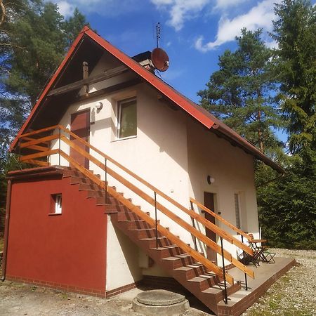 Domek Na Kaszubach Konarzyny Εξωτερικό φωτογραφία